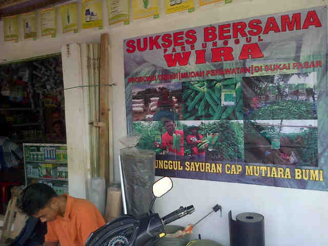 Bener Wira Mulai Tersebar Di Kios Tani Maju Pertama Ds Cendonosari,binjai Dan Sekitarnya